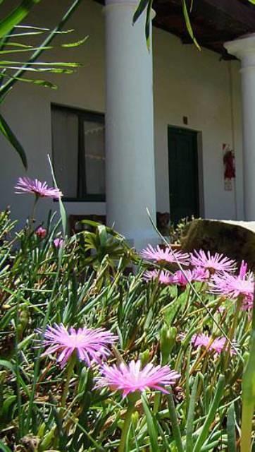 Lo De Penalba Bed & Breakfast Cafayate Exterior photo
